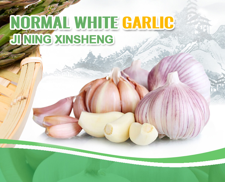 4.5-7.0cm factory normal white high quality normal white fresh chinese garlic for sale