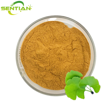 High-Quality Ginkgo Extract