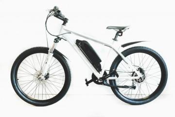E-bike/bicycle