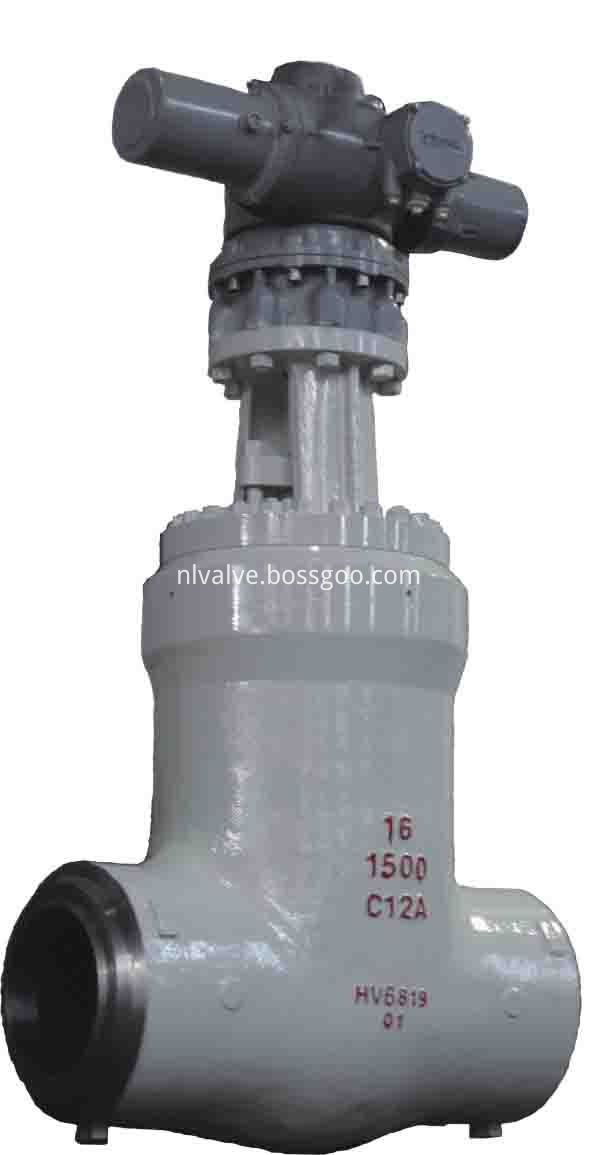 Power station C12A gate valve