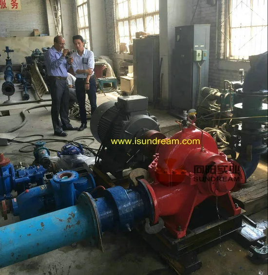 Centrifugal Irrigation Split Case Pump