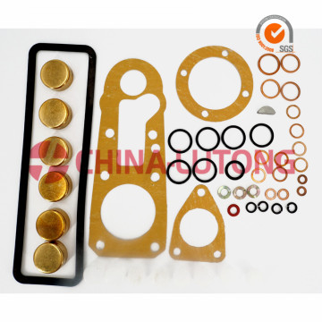 diesel injection pump rebuild kit