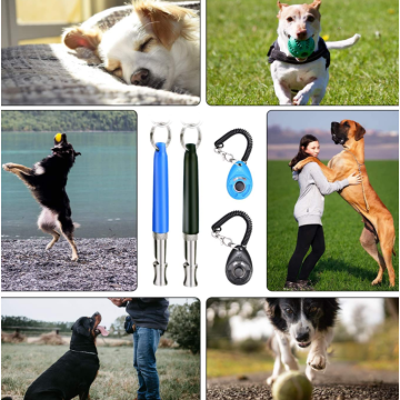 Clicker ile köpek eğitimi düdük