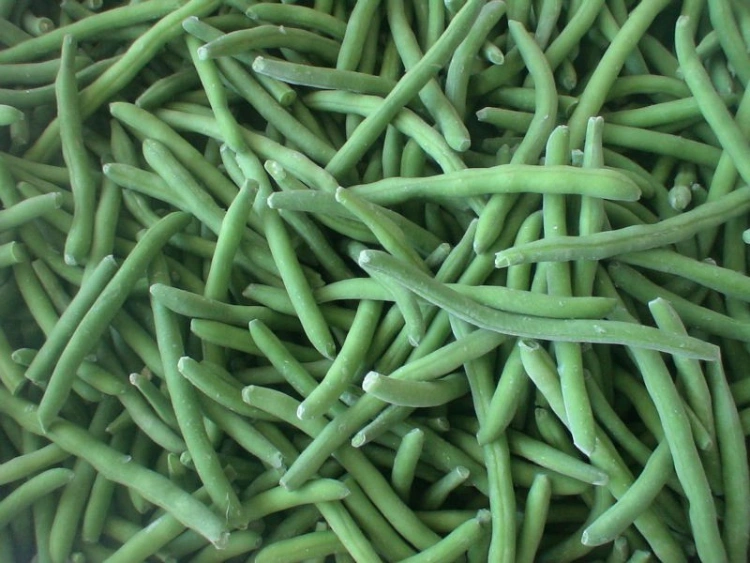 IQF Frozen Green Bean Wholes, Green Bean Cuts 2-4cm, 3-5cm
