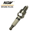 Auto Double Iridium Spark Plug D-FR6QIX11