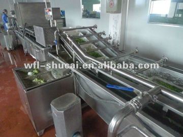 Fruit And Vegetable Processing Machine