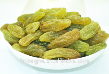sell Green raisin,2014 new crop