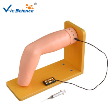 Elbow Joint Intracavitary Injection Simulator Model