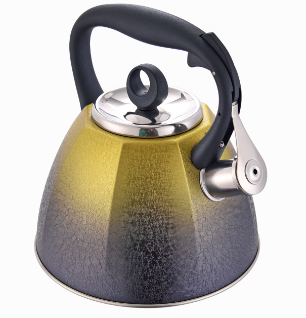 Quick Heating Induction Eletric Kettle