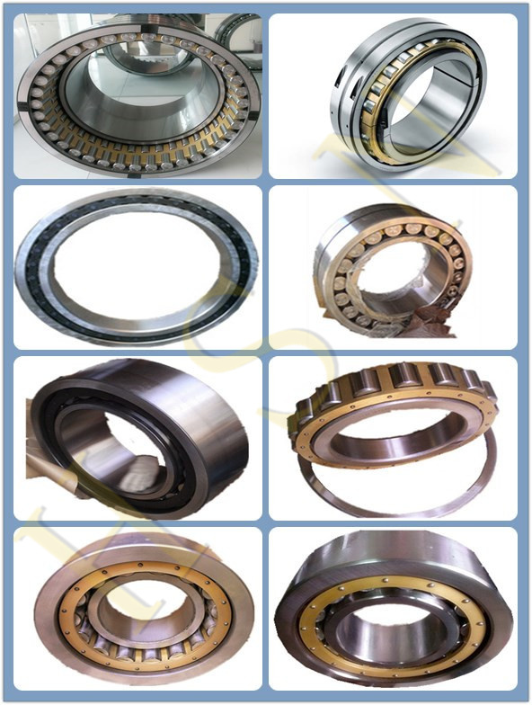 Industrial Bearing 2556 Cylindrical Roller Bearing stock