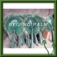 palm leaf, artificial palm frond,plastic leaf