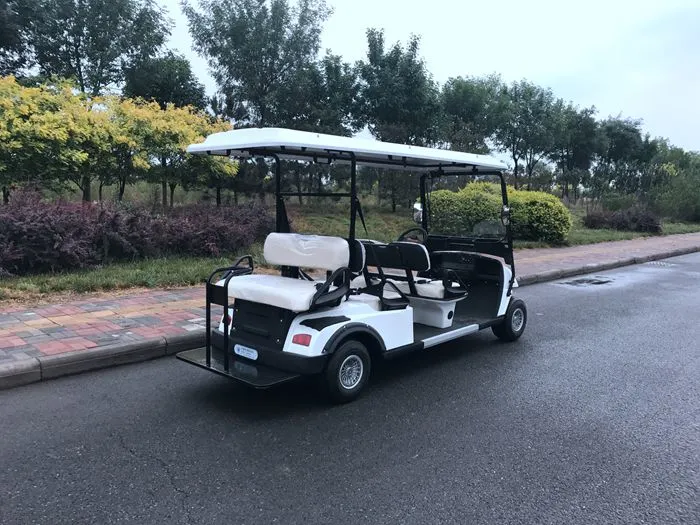 Ce Approved 6 Seater Hunting Electric Golf Cart with Rear Flip Seat