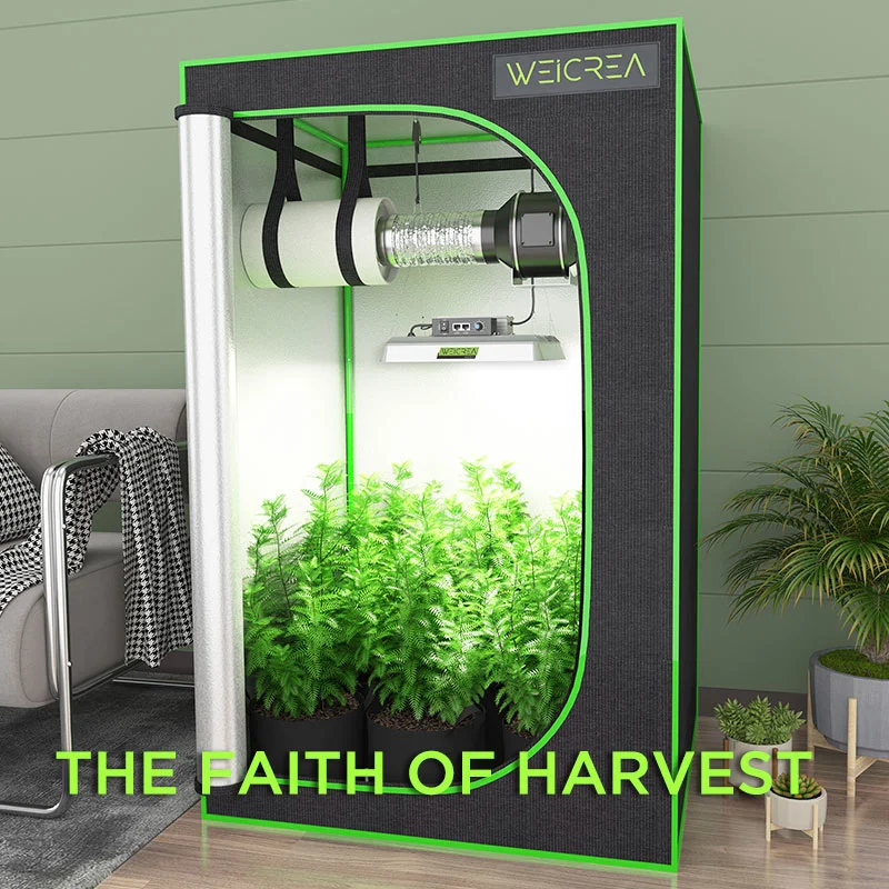 Full Spectrum LED Grow Lights