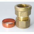 Complion Brass Female Straight Coupler