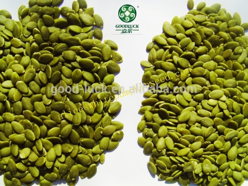 New Crop Green Pumpkin Seeds Kernels, A, AA, AAA Grade