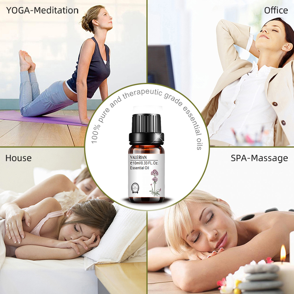 卸売バルクプライベートラベルValerian Oil Massage Aroma