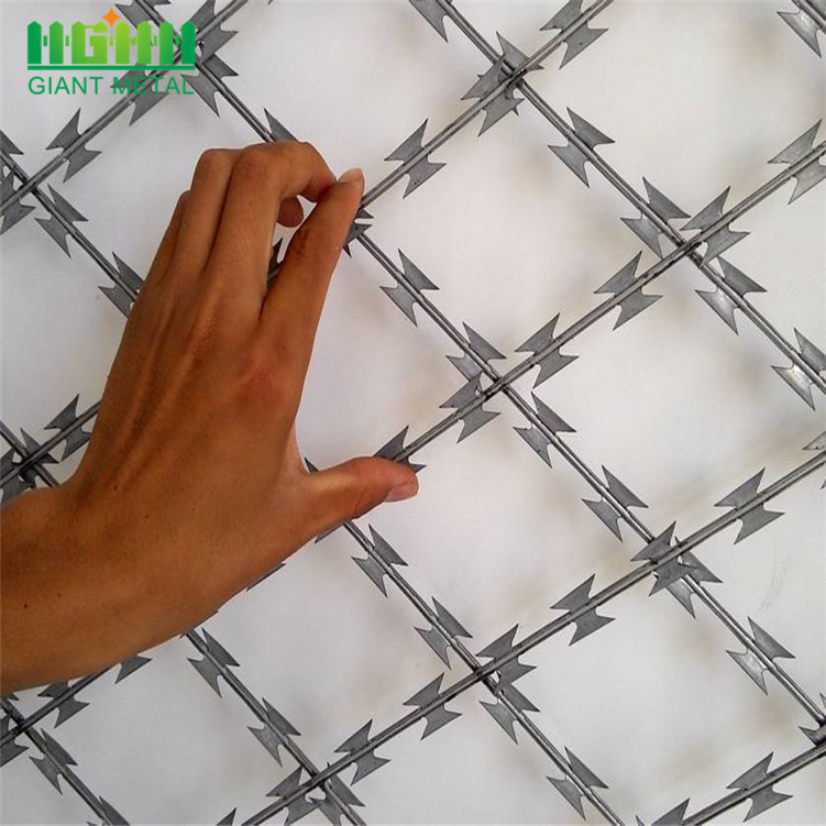 Galvanized Razor Barbed Wire fence