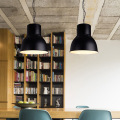 LEDER Funky Metal Pendant Lamp