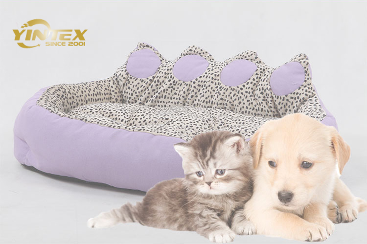 Washable large pet supplies sofas luxury memory foam cat pet dog bed set for dog