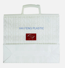 Gift Packaging Polybag/Hard Handle Bag/ Shopping Bag