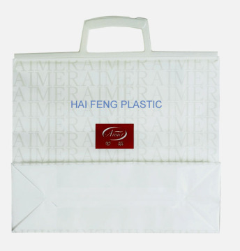 Gift Packaging Polybag/Hard Handle Bag/ Shopping Bag