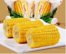 yellow corn cob fresh