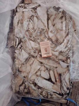 Frozen Arrow Squid ( Nototodarus Sloanii)300-400g