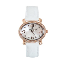Crystal watch stainless steel ladies watch