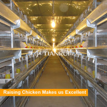 Tianrui-Entwurf, der Huhn-Schicht-Käfig für kleines Huhn verkauft