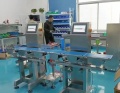 High Accuracy Automatic weight grading machine Industry Checkweigher