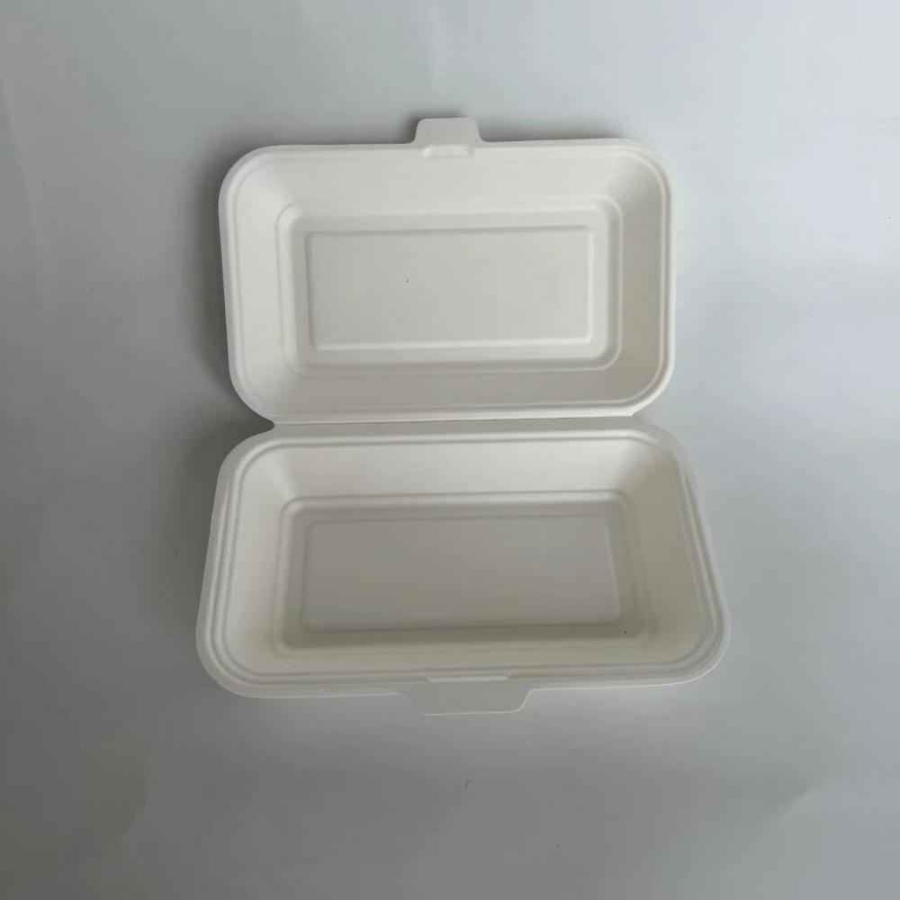 bagasse large food box