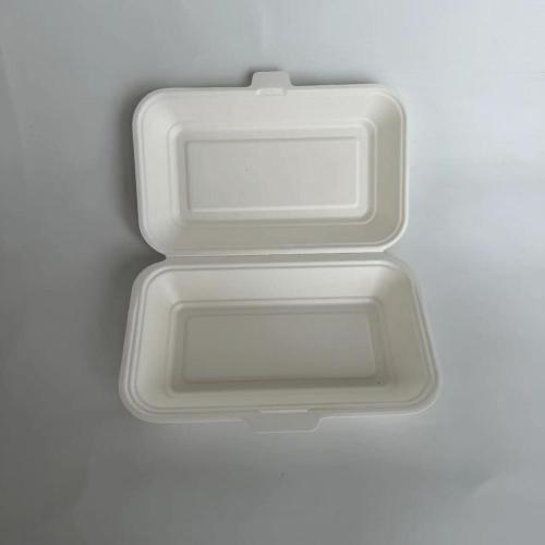 BAGASSE BAGASSE Kotak Makanan Besar 800ml