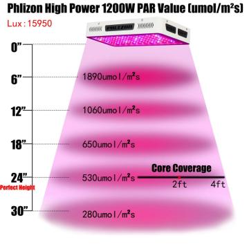 300W Kuasa Tinggi Lampu LED Grow Light