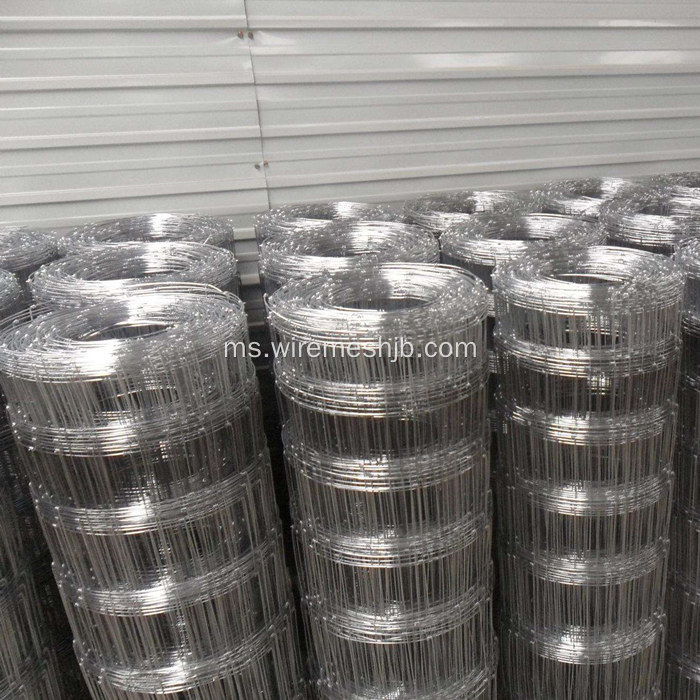 Pagar Galvanized Field Hot Screw Netting