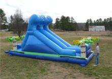 PVC Tarpaulin Commercial Inflatable Slide , Renting Roaring