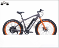 AZIENDA EBIKE ALL&#39;INGROSSO VENDITA CALDA 500W FAT TIRE BICI ELETTRICA