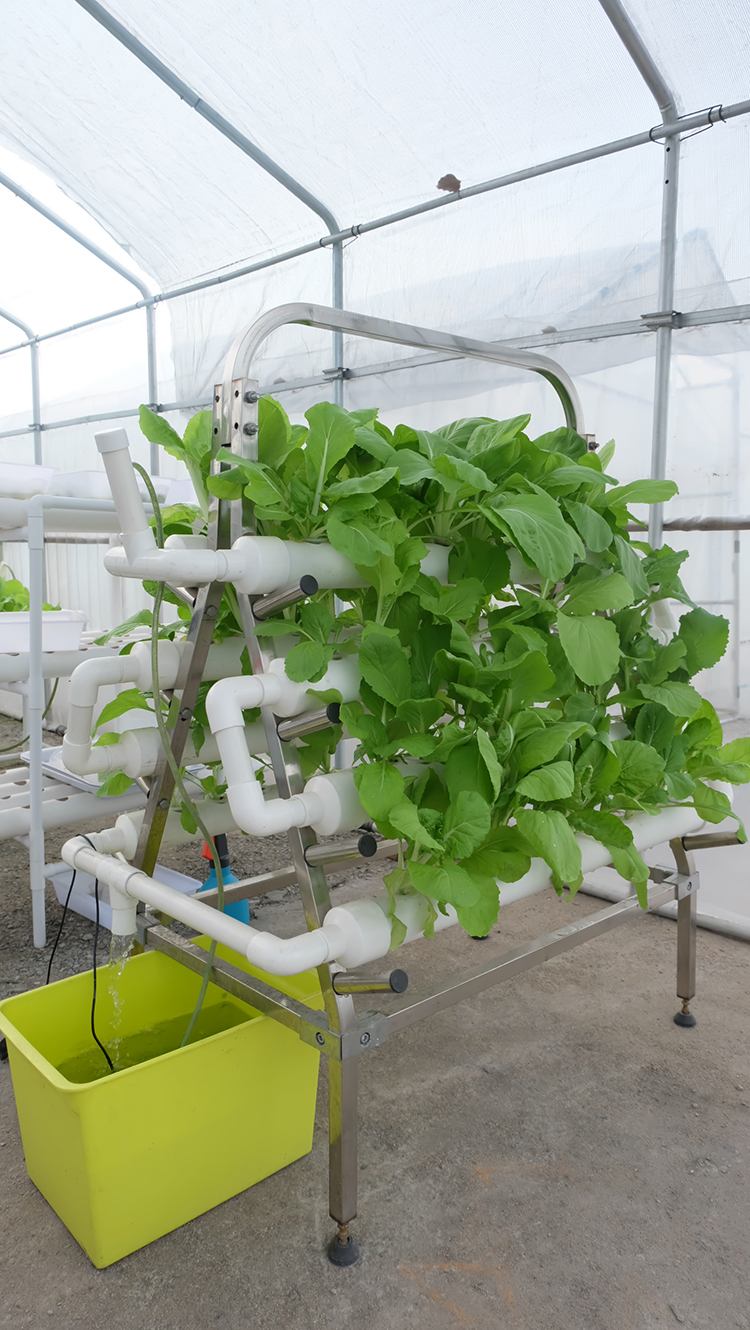 hydroponic system 4