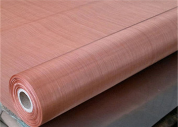 phosphor copper wire mesh