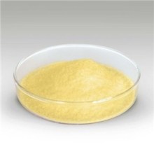 Ginger Extract Powder