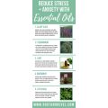 Смесь масла Pure Natural Stress Relive blend