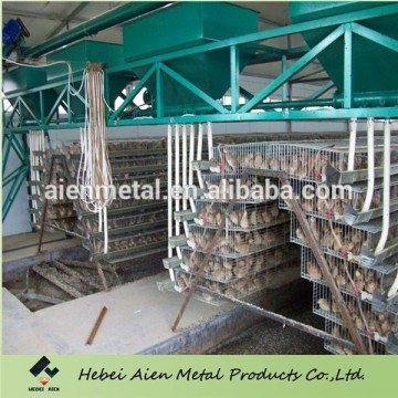 new design poultry farming equipment ,cages