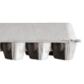 Eco-Friendly Blank Egg Carton for 12 Eggs