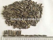 organic sunflower seeds sunflower seeds for roasting sunflower seed ton price