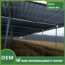 Black Shade Netting Greenhouse Accessories
