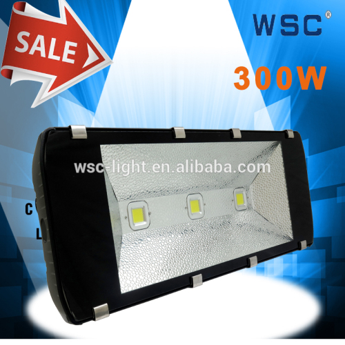 3 years warranty high quality 300w led flood light 220v generator with factory price