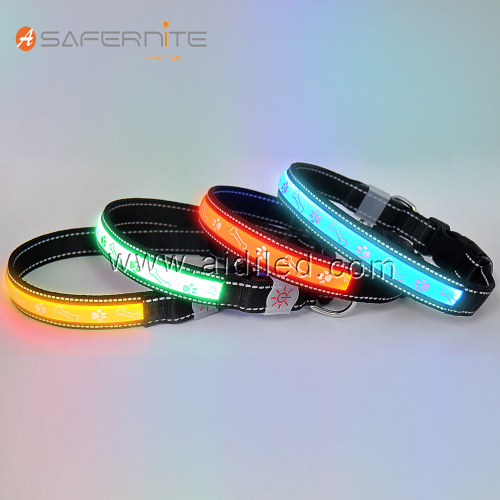 Led Dog Pet Collars tốt nhất và khai thác sản phẩm