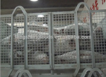 sashimi grade frozen bigeye tuna long line