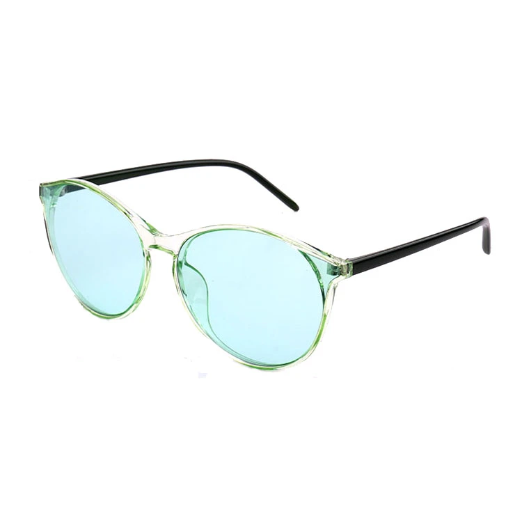 PC Frame with Temple PC Lense Metal Hinge Sunglass