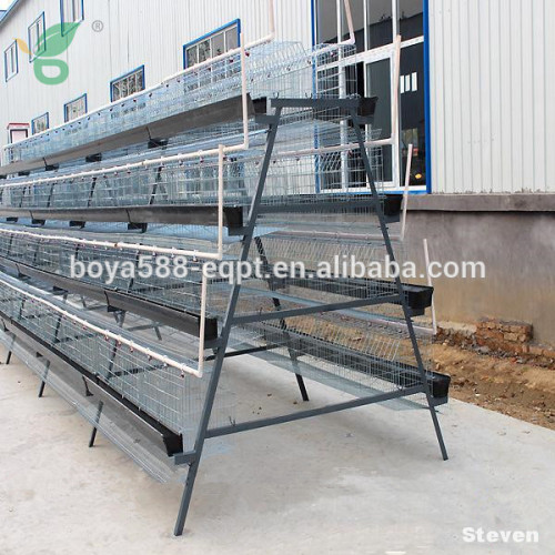 poultry chicken farm shed design chicken layer battery cage/automatic poultry cages