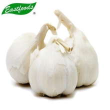 fresh natural Natural Garlic 5 cm 4.5 cm